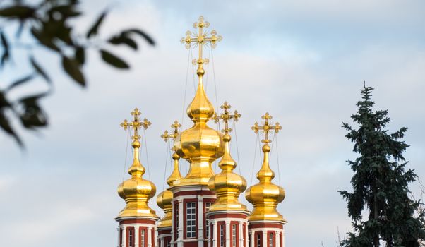 Novodevichy Convent domes with crosses and trees