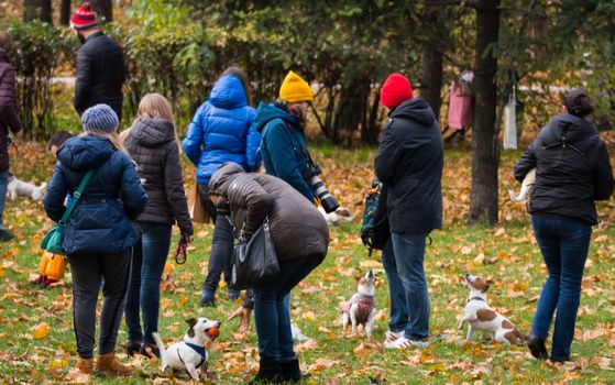 Dogs and owners in the park in autumn 2016
