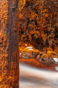 Newell creek in Tasmania, Australia is a magnificent fast running stream. Abstract landscape with red hues added.