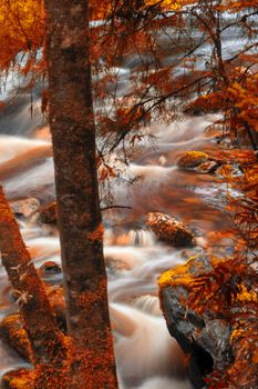 Newell creek in Tasmania, Australia is a magnificent fast running stream. Abstract landscape with red hues added.