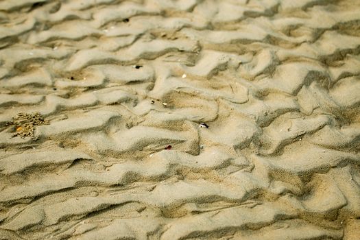 Beach sand's pattern made up by the going tide
