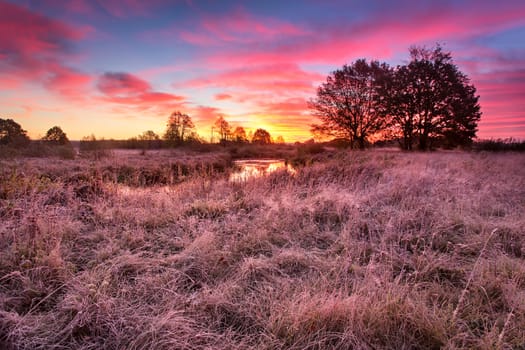 Colorful autumn dawn. Little river in the meadow, Belarus