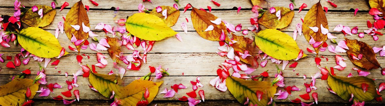 Autumnal composition of colorful flowers and yellow leaves