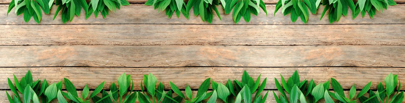 

Flowers and leaves on wood texture. View from above.
