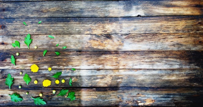 Wooden texture. On top of autumn flowers on her flowers