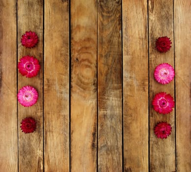 Wooden texture. On top of autumn flowers on her flowers