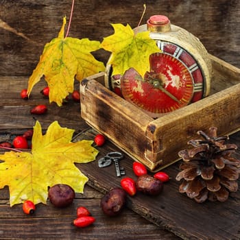 Retro alarm clock in a wooden box in the background dotted with maple autumn leaves