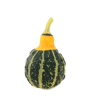 Green ornamental squash with yellow neck, green stripes and bumpy skin, isolated on a white background