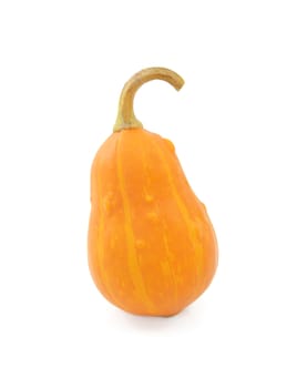 Pear-shaped orange ornamental gourd, isolated on a white background