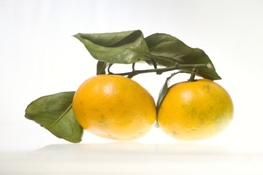 Two Mandarins with green leaves, tangerine citrus fruits isolated on white background.