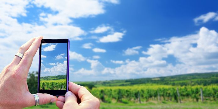 View over the mobile phone display during taking a picture of vineyard. Holding the mobile phone in hands and taking a photo. Focused on mobile phone screen.