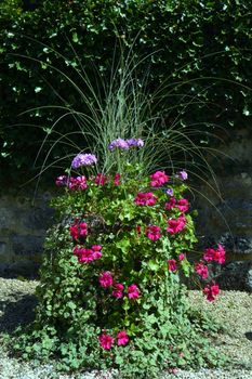 Magnificent natural bouquet with ferns in height.