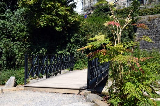 Small iron bridge to surround with ferns and with trees.