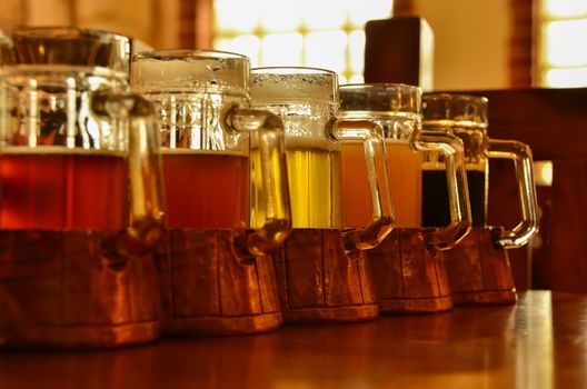 Five glasses different taste of beer stand in a row on the bar table.