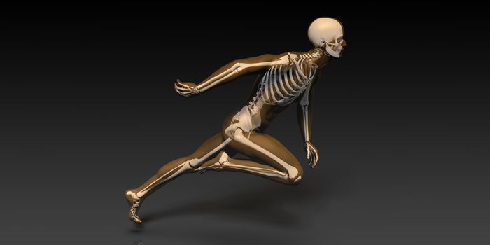 Radiography Scan with Bones as a Science Concept