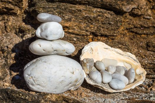 White pebbles and balance stones in the shell on a rock