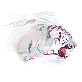 White tiger on a white background. Watercolor illustration