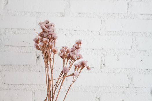 Bouquet of dried flowers with white background, stock photo