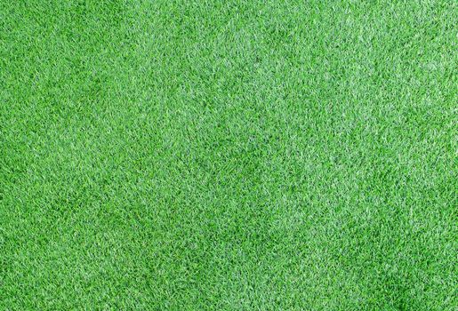 green grass background