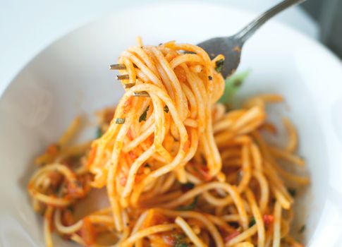 spaghetti with tomato sauce