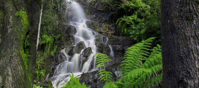 Waterfall in Cradle Mountain, Tasmania, Australia.