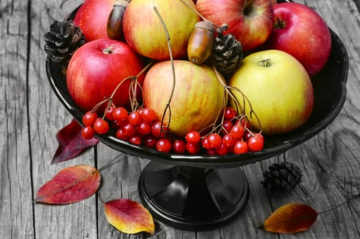 Harvest of juicy autumn apples in vase for fruits