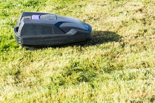 Lawnmower robot, automatic lawn mower that mows the lawn in a garden