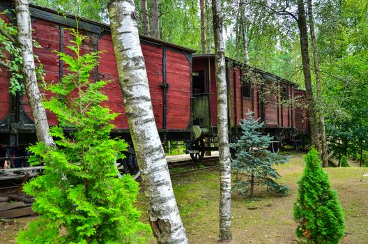 Old rusty train wagon in the forest as tourist attraction