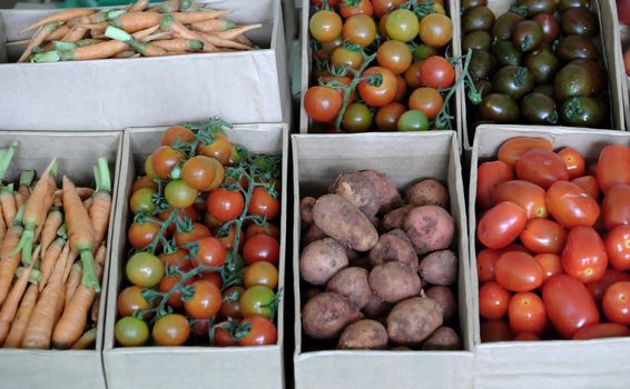 Basket of clean vegetable, carrot, tomato, potato show at safety agriculture fair, Vietnam agricultural product, rich vitamin a, c, good for health and organic farming