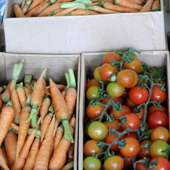 Basket of clean vegetable, carrot, tomato show at safety agriculture fair, Vietnam agricultural product, rich vitamin a, c, good for health and organic farming