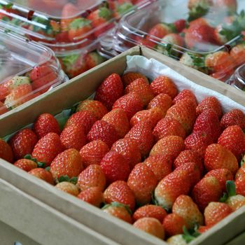 Basket of ripe red strawberry at Vietnam marketplace, fresh fruit, organic agriculture product, good for health, rich vitamin c