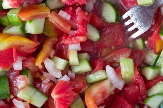 salad with fresh tomato, cucumbers and oil