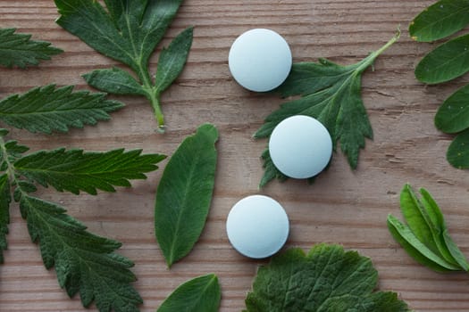 blue pill and plant on wooden table,