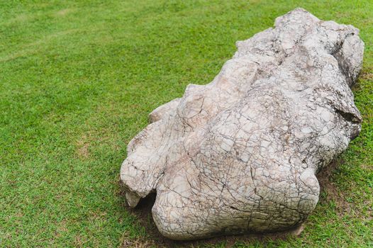 stone on green grass in the garden