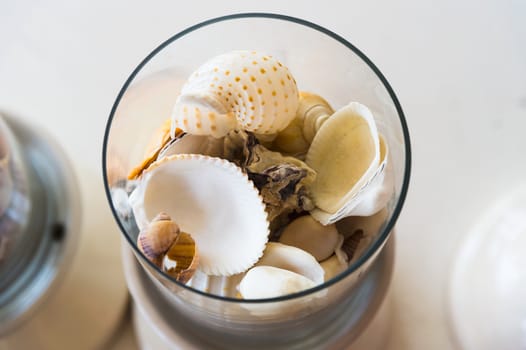 various shells in glass