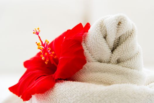 white towel with a flower on white background