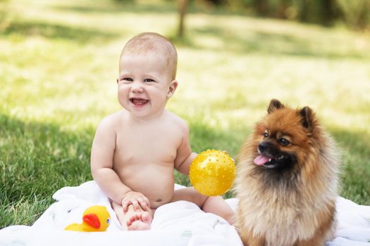 Beautiful baby playing with Pomeranian spitz against green nature background outdoors. Focus on child. Kid and dog