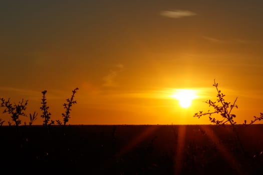 Sunset over Addo with gold and beautiful star sun.