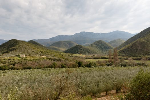 Beautiful scenic green orchard view with mountains and moody clouds in Calitzdorp.