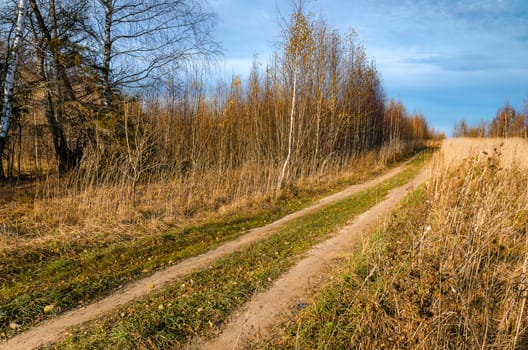 Landscape with road in a field in late autumn