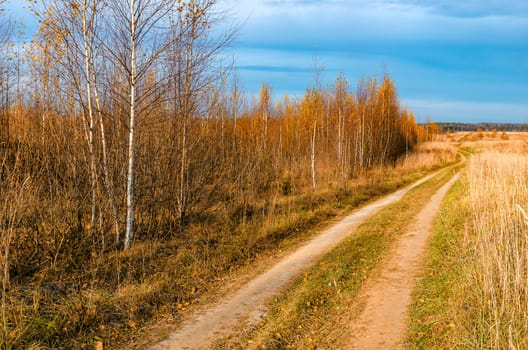 Landscape with road in a field in late autumn