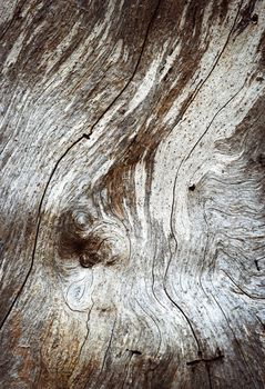 background abstract drawing on old rotten wood