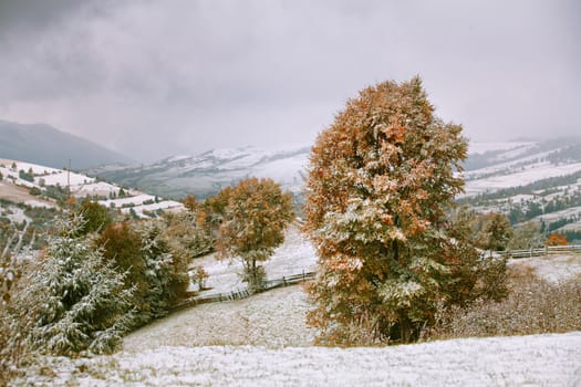 First snow in autumn. Snowfall in mountains. Carpathian mountains