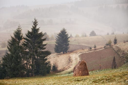 First snow in autumn. Snowfall in mountains. Winter coming. Carpathian mountains