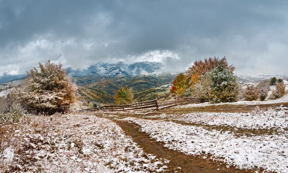 First snow in autumn. Snowfall in mountain village. Snow on a green tree.