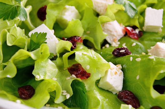 Salad of lettuce with dried cranberries, feta, sesame and chicken breast