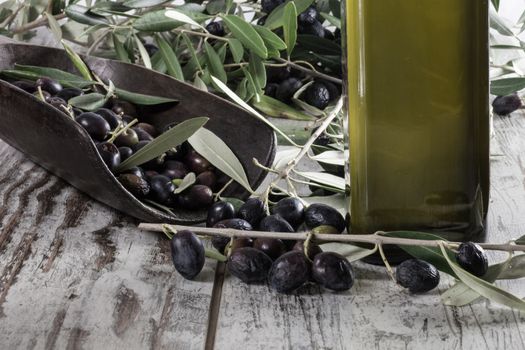 Olive oil and Olive on wood