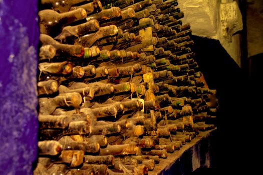 Wine cellar with wine bottle and glasses