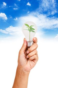 Hand holding LED bulb on blue sky background