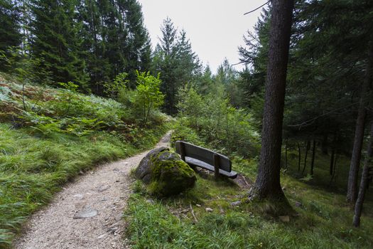 Panoramic view of a pathway in Seiser Alm